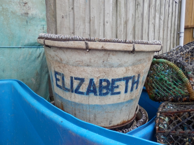 Not one of the names under consideration. (Elizabeth Bucket)