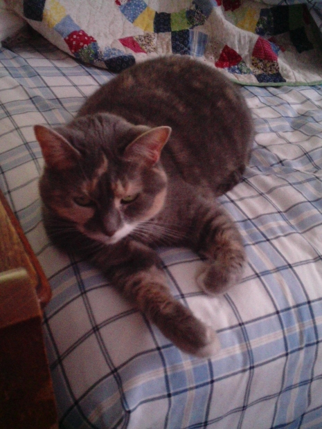 Feline version of Enos Felger. (Anthropomorphism Institute)