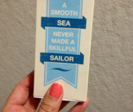 Pamphlets such as this — with entirely different wording and in a dissimilar color scheme — were distributed by a senator at a recent event.