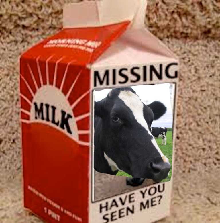 carton cow