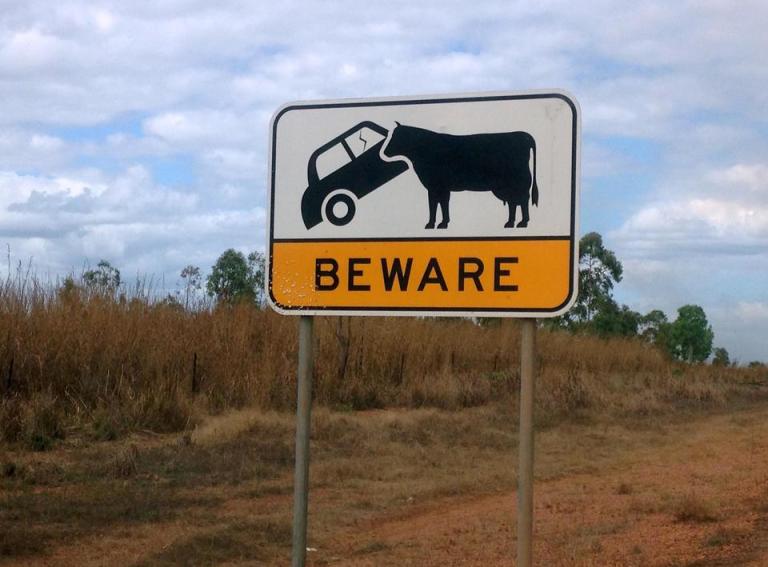 Cowroadsign