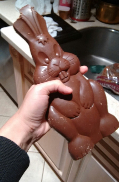 Chocolate buny